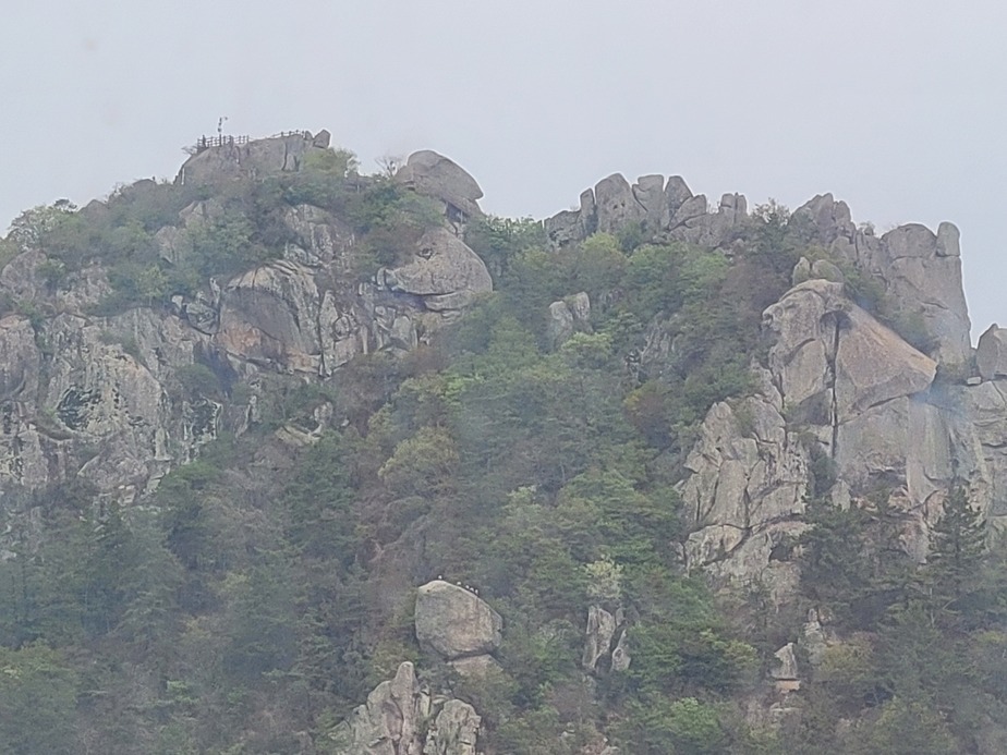 20230414_124450.jpg